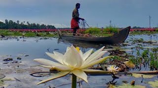 ഒരു morning vibe, വള്ളവും വെള്ളവും ഞങ്ങളും