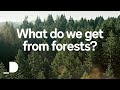Paper Products in Your Daily Life | Good Code Hackathon