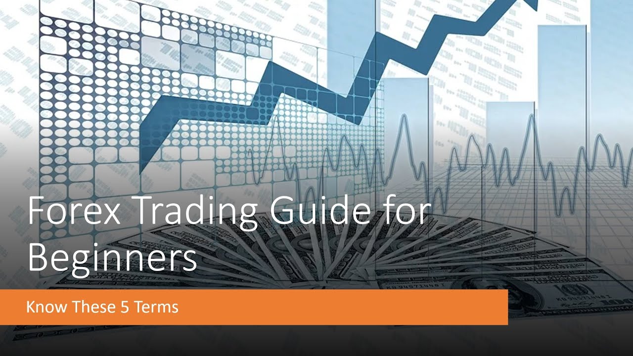 Forex Trading Guide For Beginners - Know These 5 Terms - YouTube