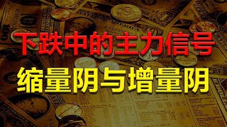 【射手擒龙】2023-05-17 下跌中如何发现主力异动，看懂缩量阴与增量阴，伺机跟庄而行！