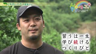 JAおおいた番組「ハッジパッジＴＶ #120」≪7月18日放送≫