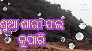 ଶୁଆ ଶାରୀ ପାରକ କୁପାରି