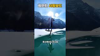 희안한 서핑보드 #shorts