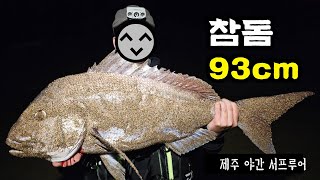 꿈의 고기! 9짜 참돔을 잡았습니다! 제주도 야간 서프루어낚시(쇼어레드게임)  Red Seabream surf lure fishing