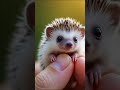 cutest little animals in the world cuteanimals animallovers cute cutevideos shorts