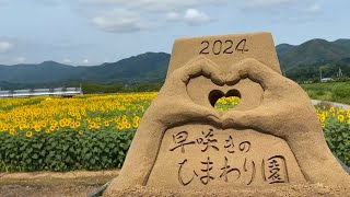 2024/06/11　見頃を迎えて開園です！　出間早咲きのひまわり園　〜高知県土佐市〜