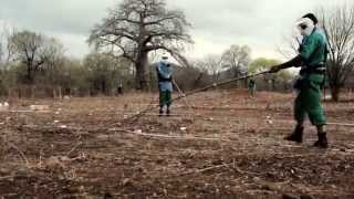 APOPO HeroRATs - Giant rats detecting landmines