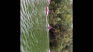 kadalakere#moodbidri#boating#green#bedra#Alvas#college