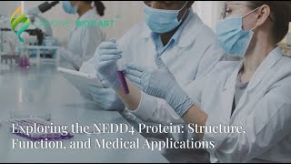 Exploring the NEDD4 Protein: Structure, Function, and Medical Applications