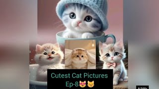 Cute Cat Pictures Ep-8😻😺#ai animals#Animal Adventures