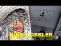 King Kobbler modifies Johnson Viking Ranger II Tube ham Radio Transmitter another Kob job