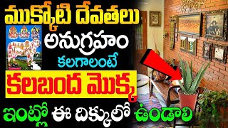 కలబంద మొక్క ఇంట్లో ఈ దిక్కున ఉంటే ధనవంతులు అవ్వడం ఖాయం || Benefits and Uses of Aloe Vera || KSK Home