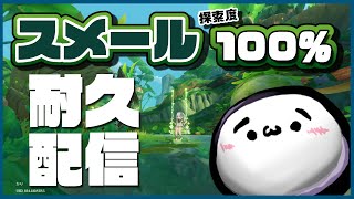 【原神】スメール探索度100％を目指す(´･ω･`)耐久配信？スメール砂漠編【新人Vtuber】