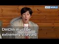 DinDin must be extremely stressed (2 Days & 1 Night Season 4 Ep.118-6) | KBS WORLD TV 220403