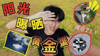 太阳底下煎鸡蛋！结果变成“黄金蛋”！终于成功了！？