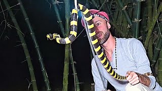 Snake Whisperer Meets One of India's Most Stunning Deadliest Snakes