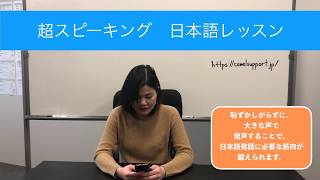 ベトナム人用日本語レッスン（日本語解釈版）