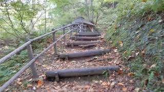 紅葉が始まった大深沢遊歩道を歩く　２０２０年１０月２０日　宮城県大崎市鳴子