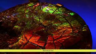 Ammolite Gemstones - Gemstones TV