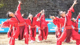 [4K] 紀道　おどるんや 紀州よさこい祭り 2021 砂の丸広場 (中央)