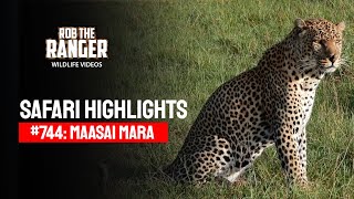 Safari Highlights #744: 25 January 2023 | Lalashe Maasai Mara | Latest #Wildlife Sightings