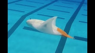 Meet the Mantabot