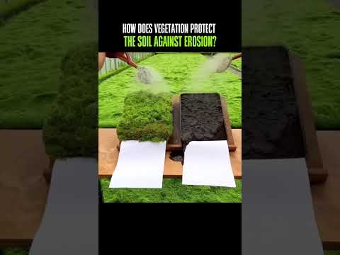 What is vegetated soil?
