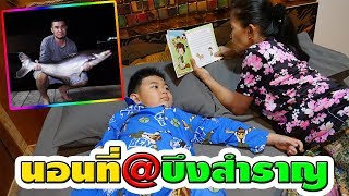 น้องติณณ์☺นอนที่นี่@บึงสำราญ สนุกมากครับ!! | Sleep here, very fun.