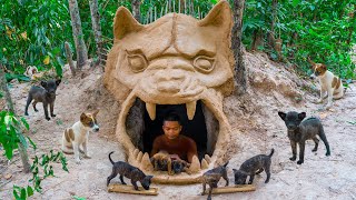Newborn Puppies Rescued And Build Heaven Underground Dog House And Red Fish Pond
