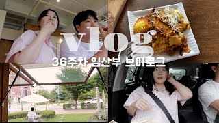 vlog • 막달검사 두근두근 첫내진💦 • 36주 외향성 임산부의 끝까지 돌아다니는 외출일기🚗 • 자연분만? 제왕절개, 그 선택은?🎉