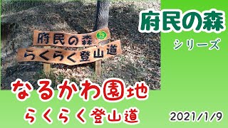 府民の森シリーズ　鳴川園地　らくらく登山道を行く