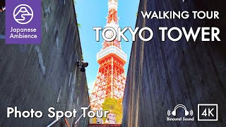Tokyo Tower Best Photo Spots Walk in Tokyo,Japan [4K/ASMR Walking Tour]