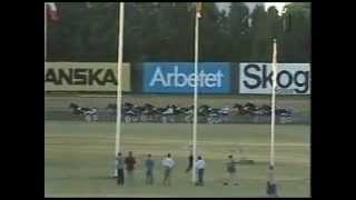 Hugo Åbergs Memorial 1995 -Houston Laukko