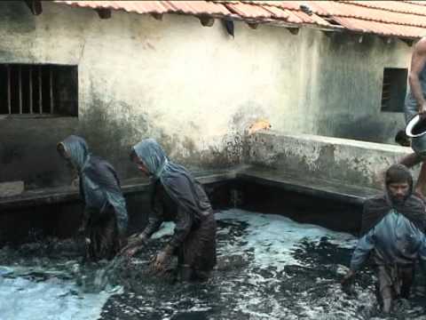 Indigo Dye Extraction Indigo Dye Extraction