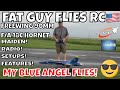 MAIDEN! FREEWING F/A 18C HORNET 90MM+ RADIO AND FEATURES by FGFRC #rc