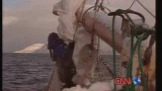 S/Y Goxsheim with CNN Mainsail in Lyngen