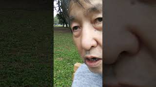 変質者の疑いをかけられた💢😤📱 #vlog #声日記 #独り言 #つぶやき #73歳 #70代 #shorts #光が丘公園 #疑い #怒り #自撮り