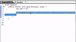 Java Programming Tutorial 20 Conditional Operators YouTube