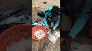 Indian salmon fish గుంటూరు డెలివరీ చేశాను#viralreels#seafood#trendingreels#mahigangaputra14#ytshorts