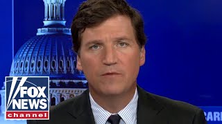 Tucker: This is why CNN's Stelter fired his nanny