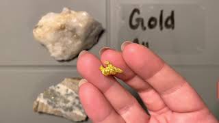 Minerals : Native Elements - Gold!