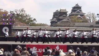 佐賀大学 嵐舞 火の国YOSAKOIまつり2016