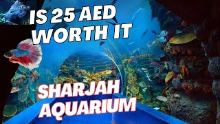 Is 25 AED Worth It? 20 Minutes in Sharjah Aquarium – 4K Experience!