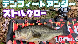 【バス釣り】【牛久沼水系】【流入河川】ストルクロー／10FTU ３つのテールでデカバスを誘う　#イヨケン #10ftu #デカバス #バンタム #デカバス