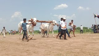 చాగులేరు 3rd prize 🏆 పసుపులేటి రమణగారు గాజులపేట గ్రామం