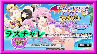 【シノマス】復刻To LOVEるダークネスコラボガチャラストチャレンジ枠【シノビマスター 閃乱カグラ】