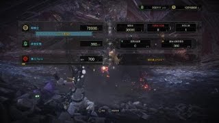 【MHW】 冰弓討伐歷戰王炎王龍