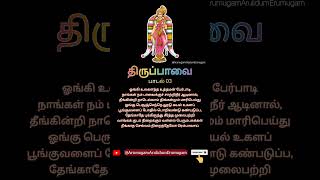 ஆண்டாள் திருப்பாவை பாடல் 03 @ArumugamArulidumErumugam #aandaal #ஆண்டாள் #மார்கழி #thiruppavai #tamil