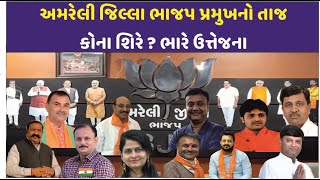 Amreli જિલ્લા ભાજપ પ્રમુખનો તાજ કોના શિરે ? ભારે ઉત્તેજના|CITY WATCH NEWS