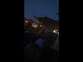 Post Malone - White Iverson Cologne 12.08.2018 Tanzbrunnen Open Air Live